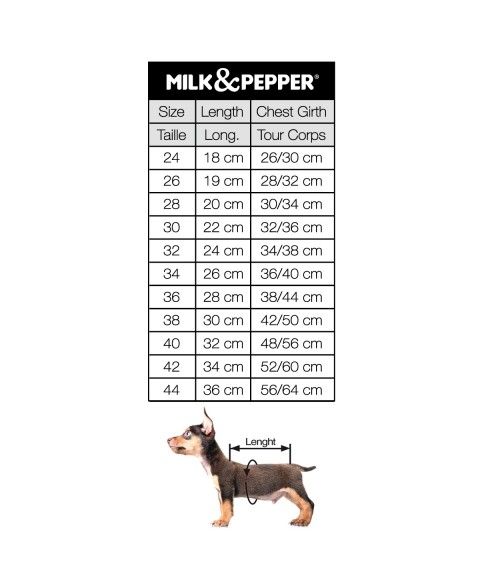Milk & Pepper Comet Hoodie - 3