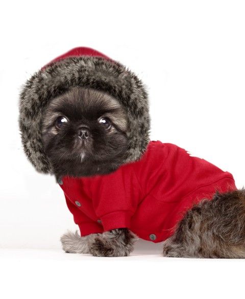 Milk & Pepper Comet Hoodie - 2