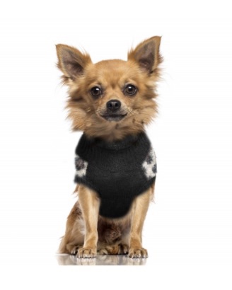 Milk & Pepper Okavango Dog Sweater - 2