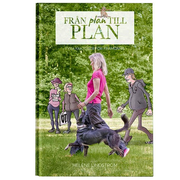 Från plan till plan - book