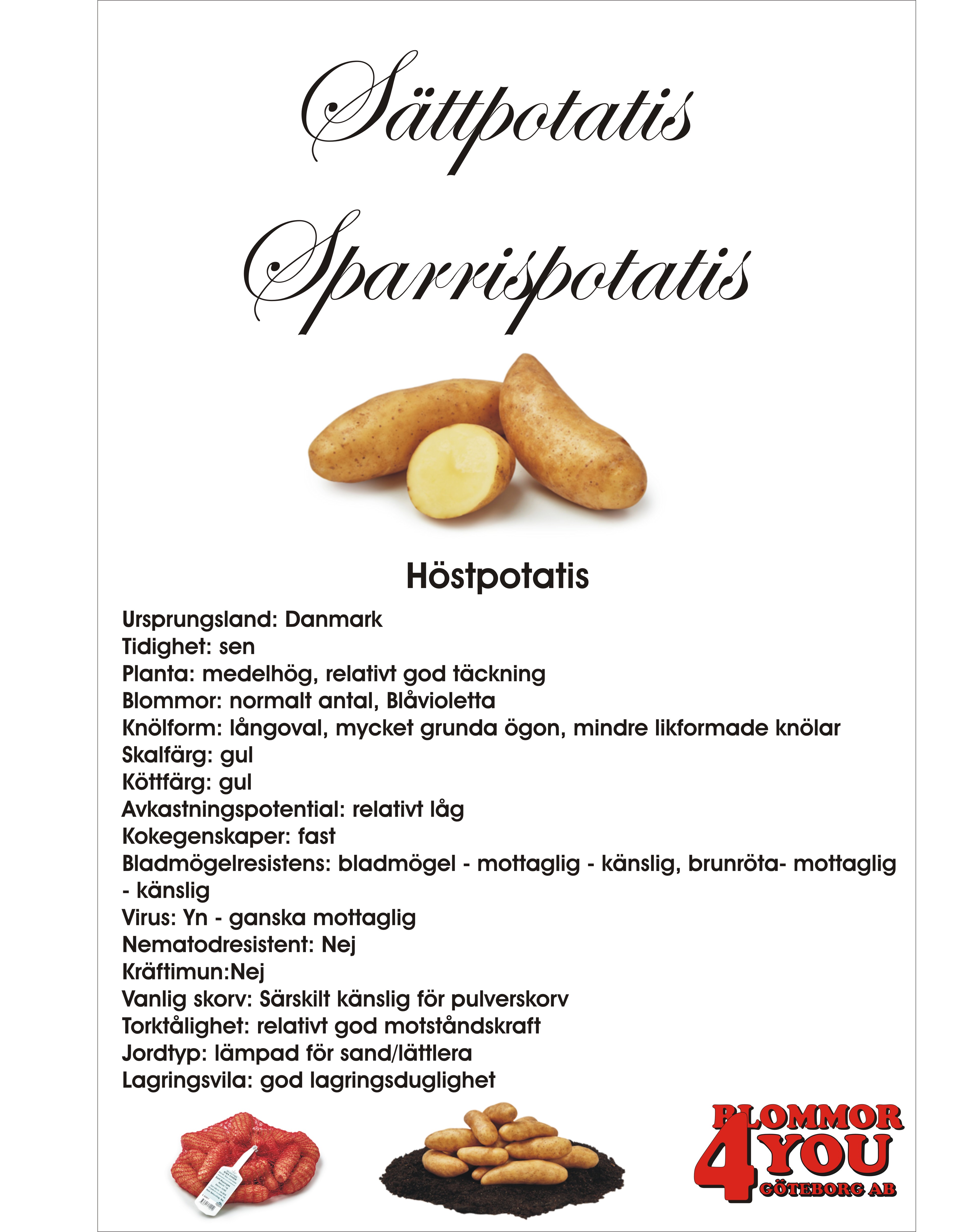 Sättpotatis Sparrispotatis  1 Kilo