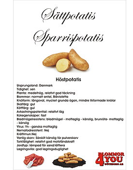 Sättpotatis Sparrispotatis  1 Kilo