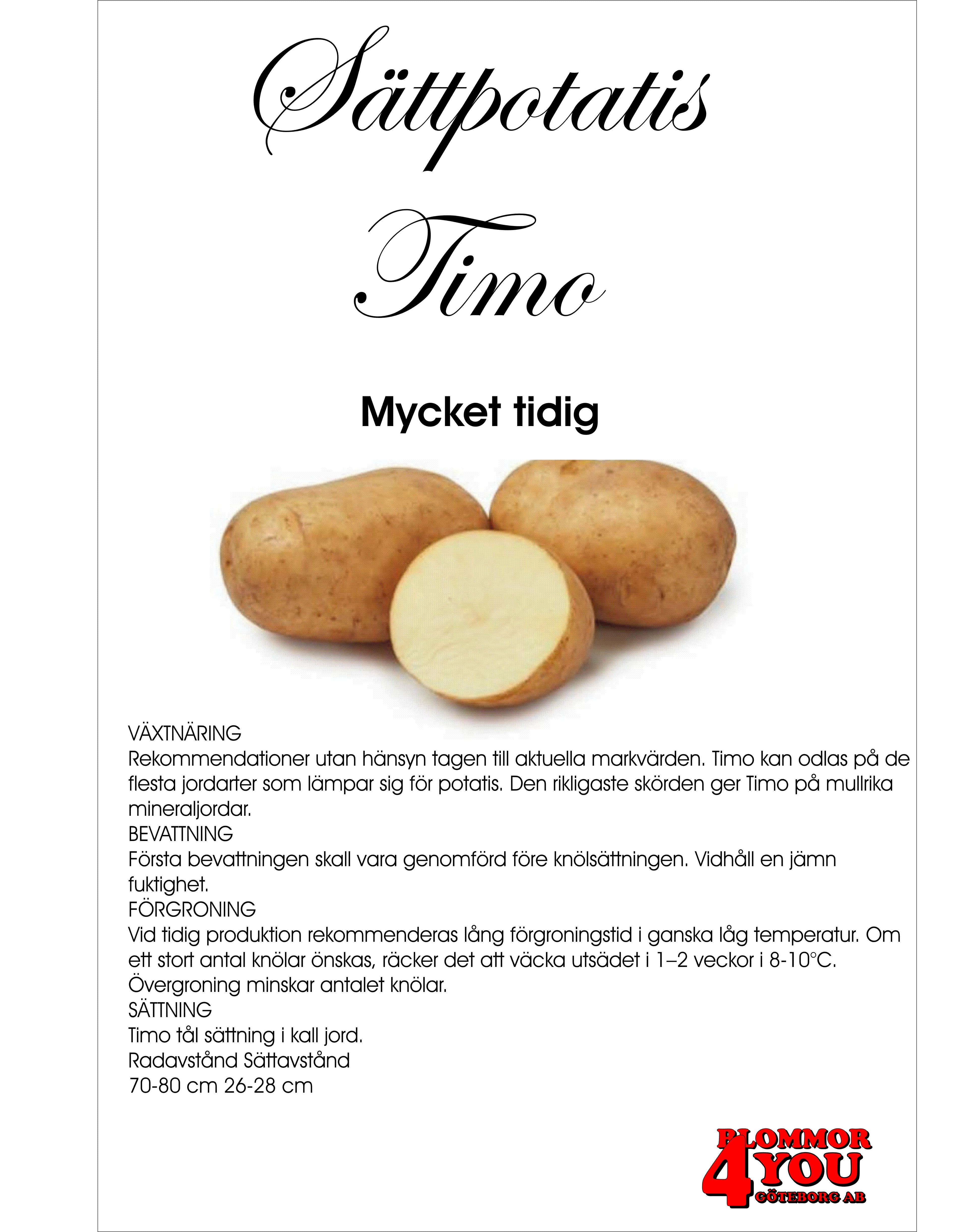 Sättpotatis Timo  1 Kilo