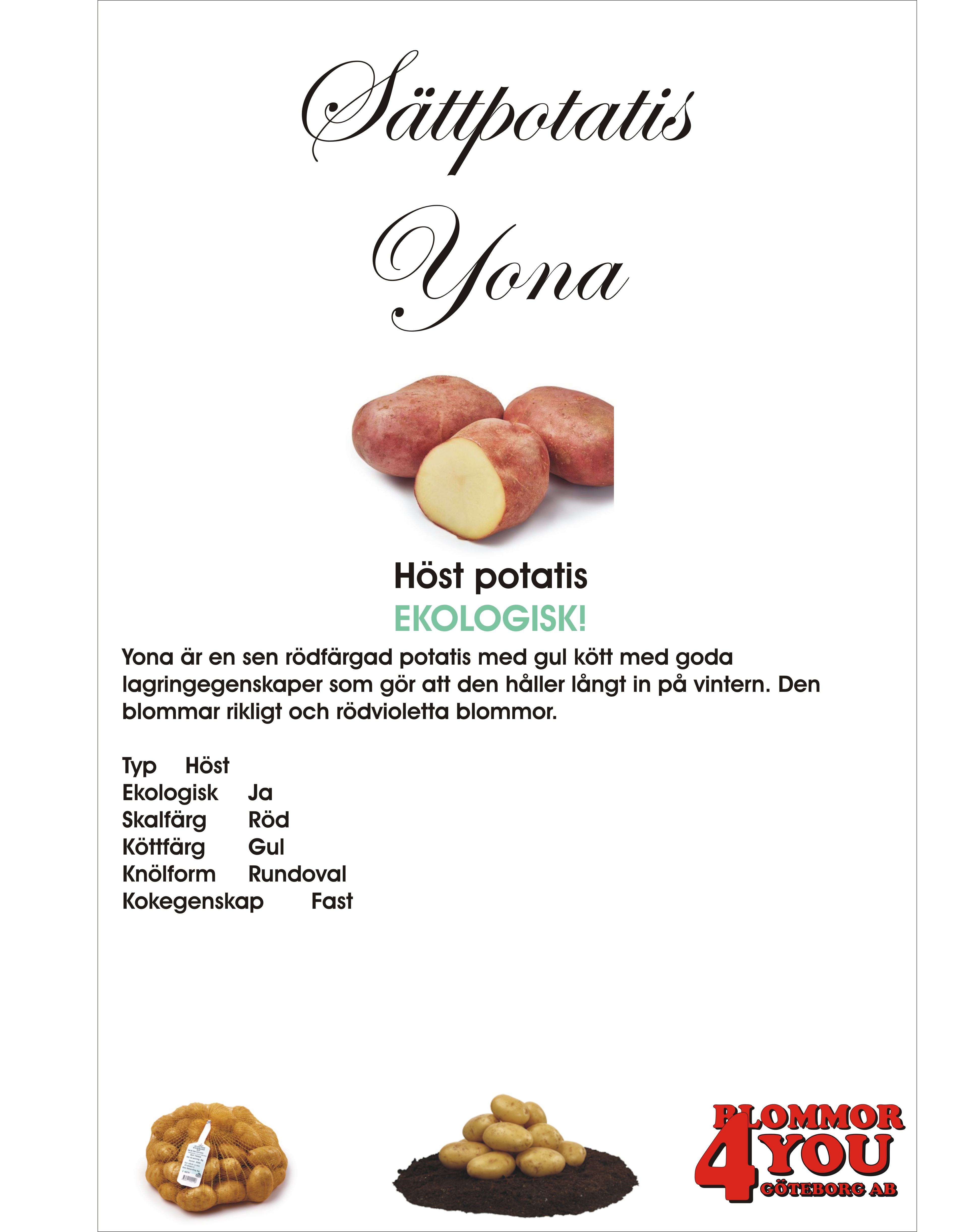 Sättpotatis Yona   1 Kilo  EKOLOGISK!