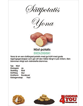 Sättpotatis Yona   1 Kilo  EKOLOGISK!