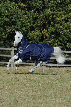 Bucas Freedom Turnout horse blanket with fixed neck 150 g - Navy blue