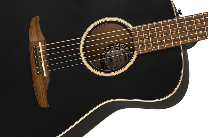 Fender Malibu Special, med miksystem och bag.