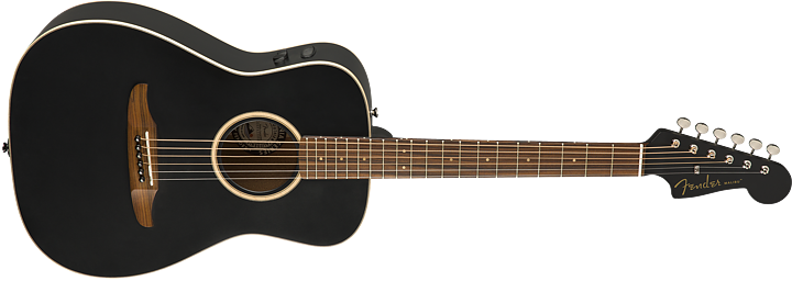 Fender Malibu Special, med miksystem och bag.