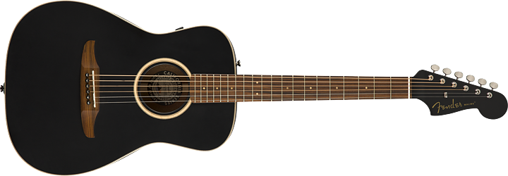 Fender Malibu Special, med miksystem och bag.