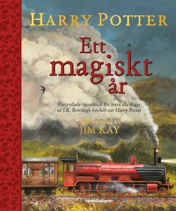 Harry Potter Ett magiskt år