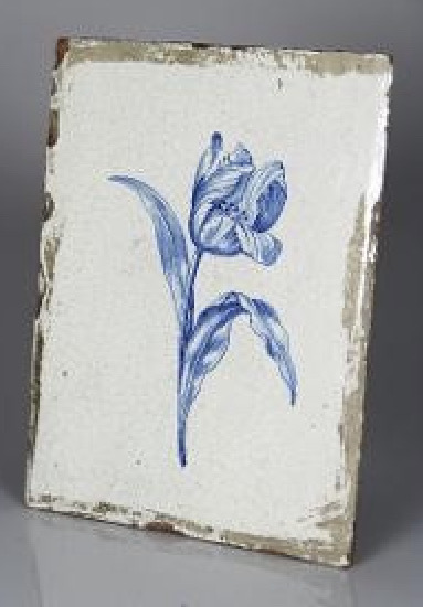 Tulpan  blå - 2