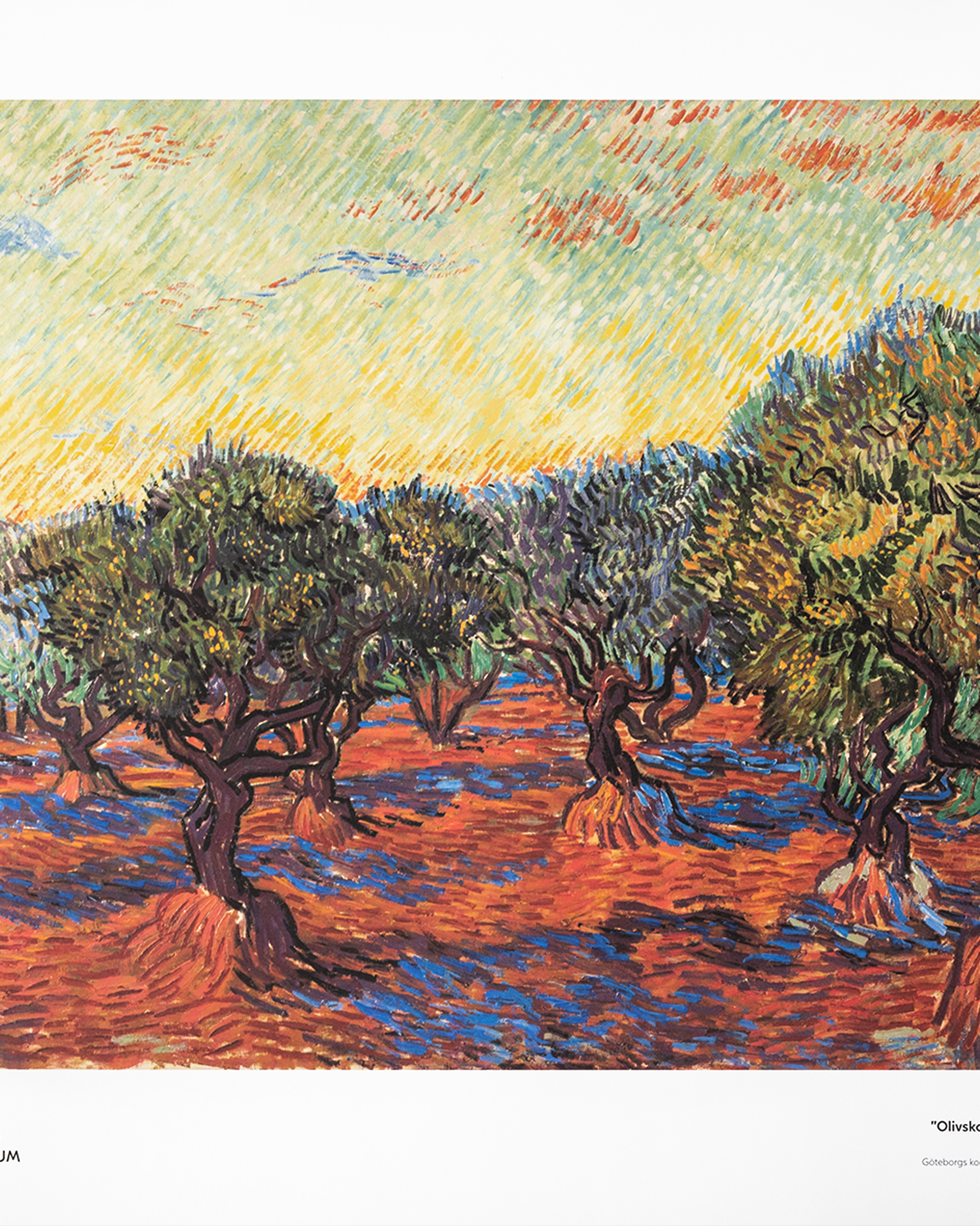 Affisch, Vincent van Gogh, Olivskog