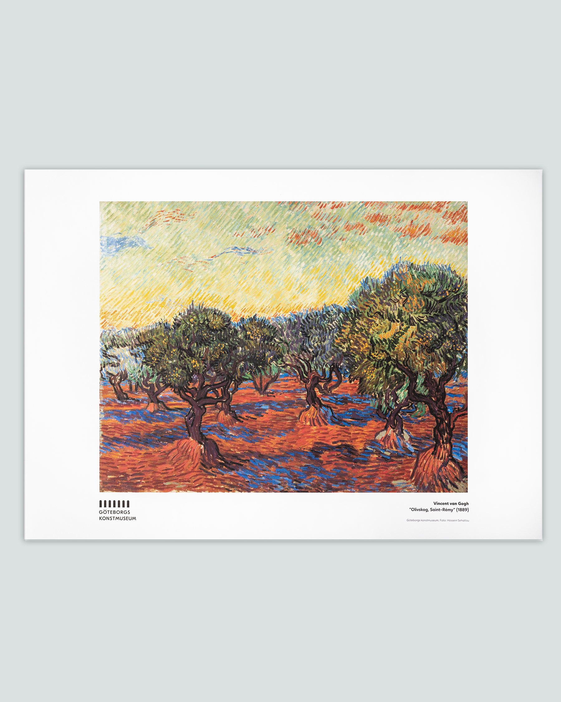 Affisch, Vincent van Gogh, Olivskog