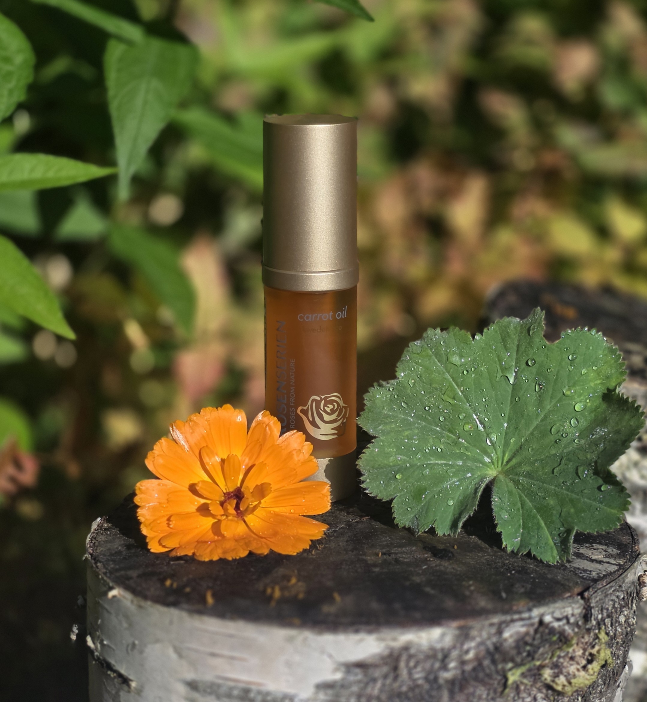 Carrot Oil – rik ansiktsolja för torr hud & lyster – Rosenserien - 2