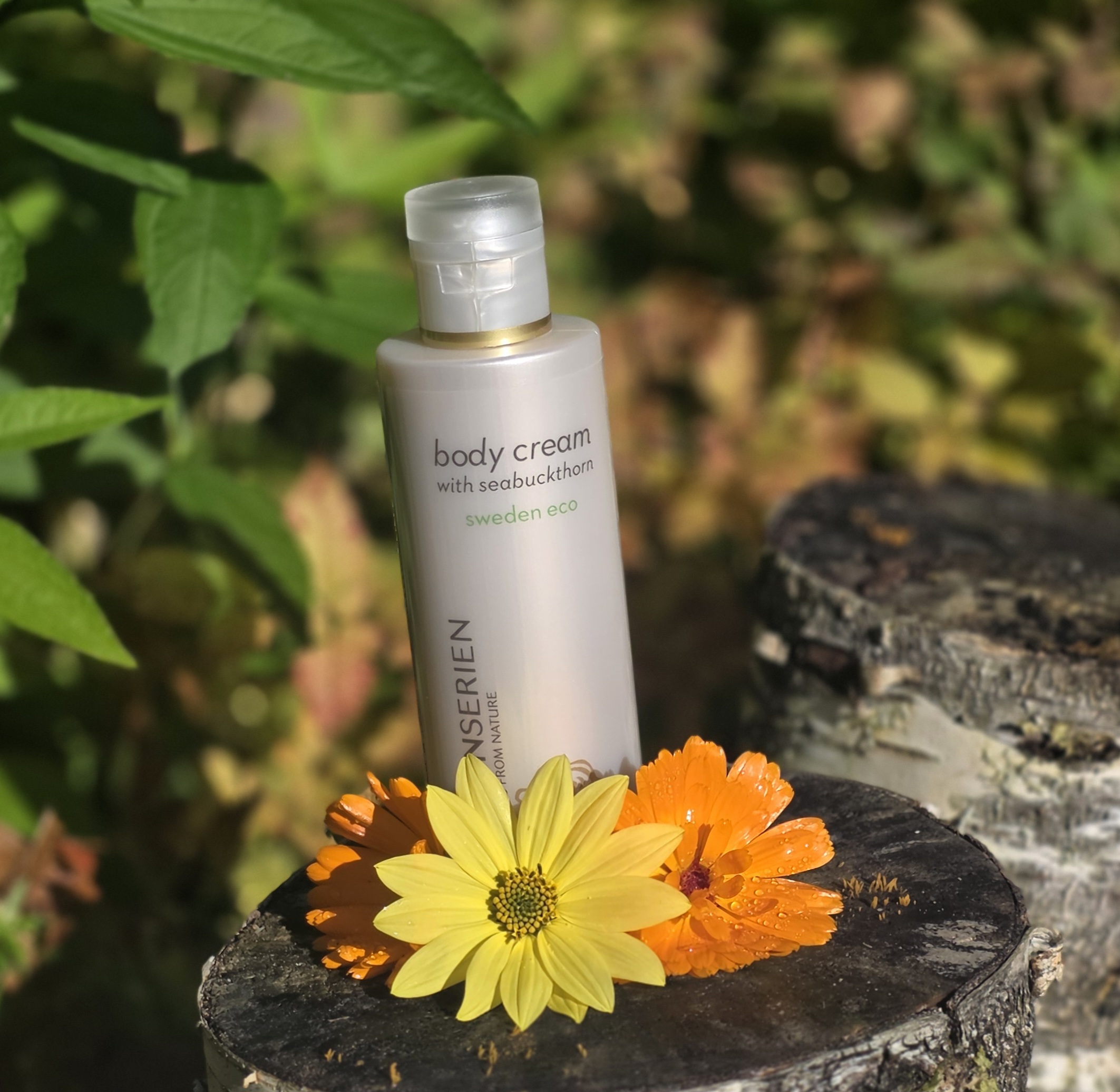 Body cream with sea buckthorn - Kroppskräm med havtorn 200ml -  Rosenserien