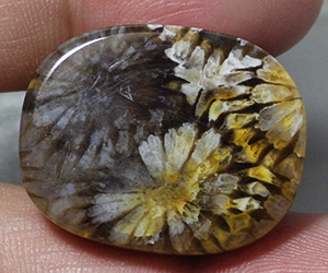 Piedra preciosa de coral natural grande completamente única de 35,34 ct - 3