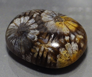 Piedra preciosa de coral natural grande completamente única de 35,34 ct - 2