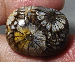 Piedra preciosa de coral natural grande completamente única de 35,34 ct