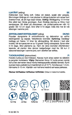 6613, Luktärt blandad  Lathyrus odoratus - 2