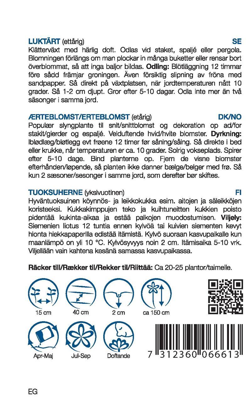 6661, Luktärt vit   Lathyrus odoratus - 2