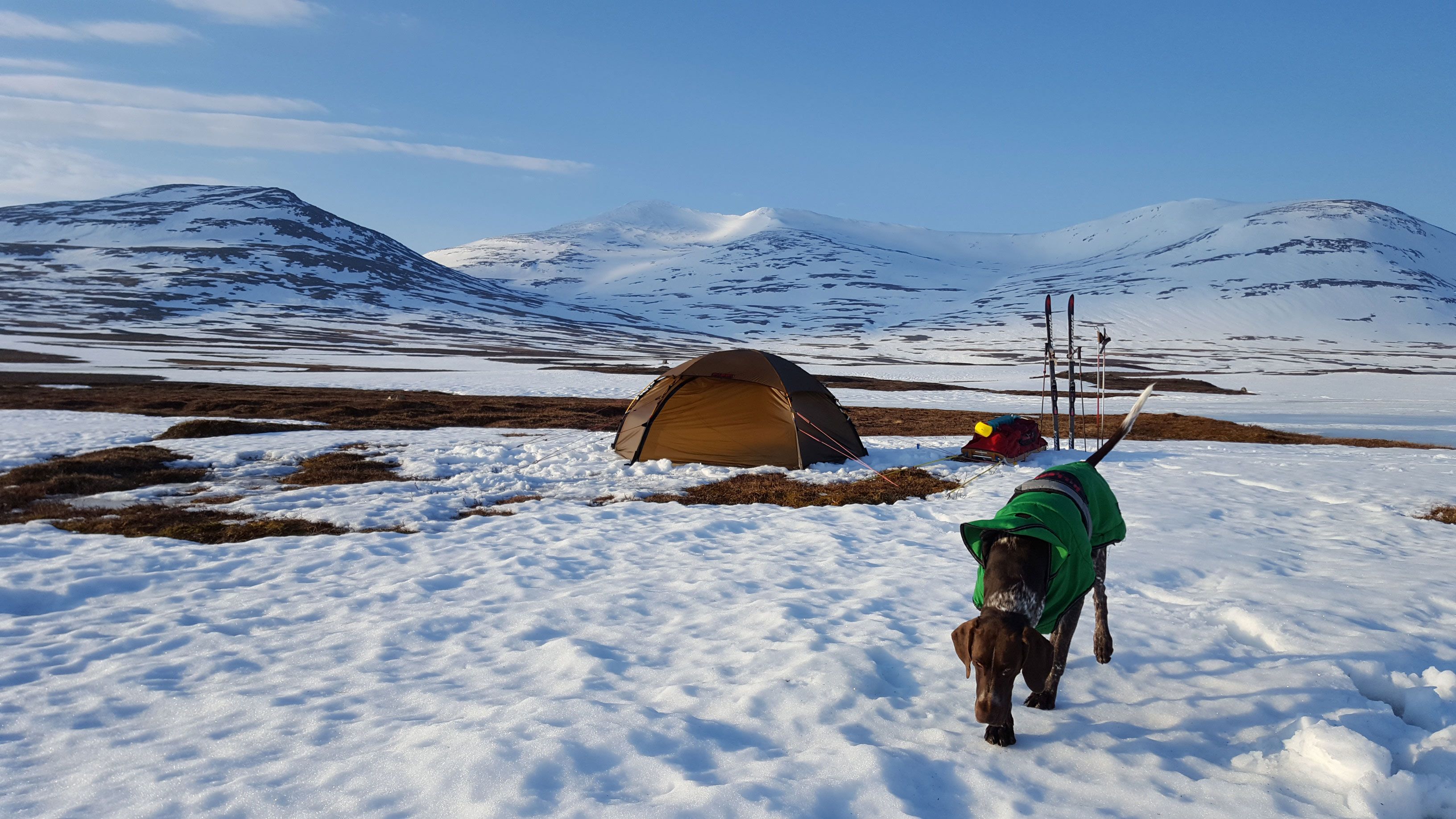 Hilleberg Allak 3 - Sand - Backpackinglight.dk