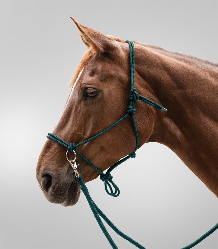 Rope halter for riding Waldhausen, with reins, green - 2