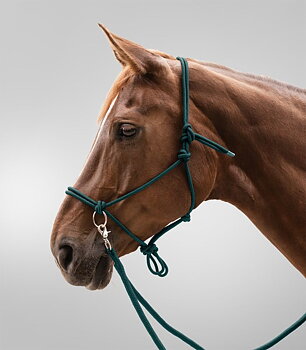 Rope halter for riding Waldhausen, with reins, green
