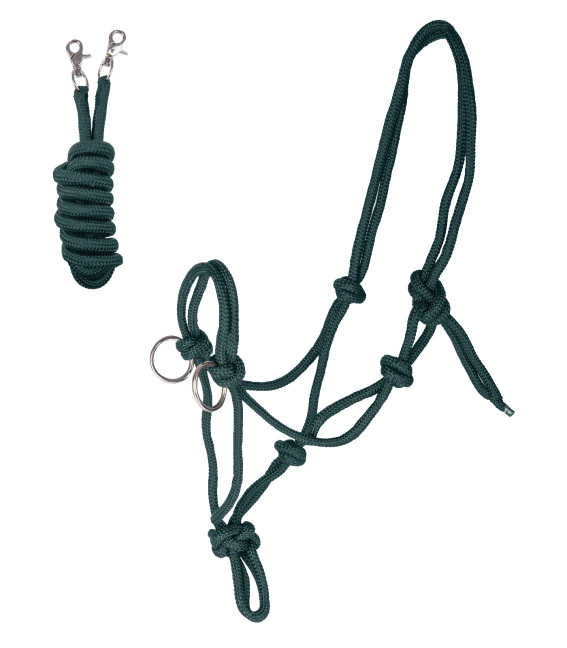 Rope halter for riding Waldhausen, with reins, green