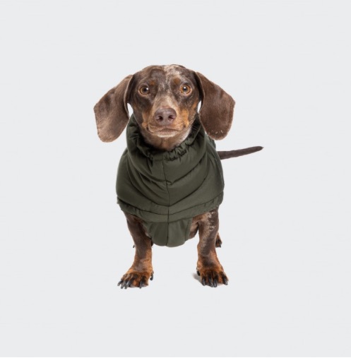 Cloud7 Alaska Olive Hundjacka För Tax - Houndcity's butik