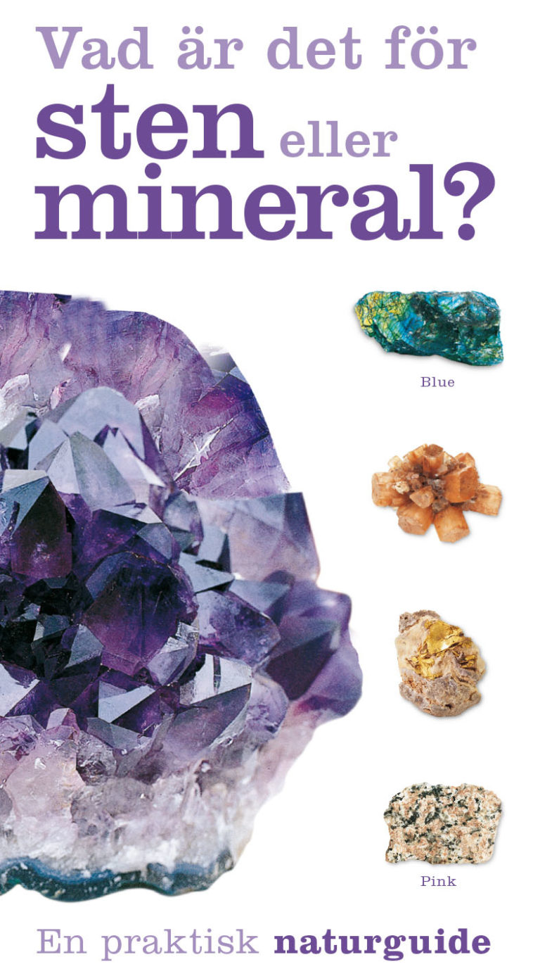 Vad är det för sten eller mineral? Författare: Jackson, Tom