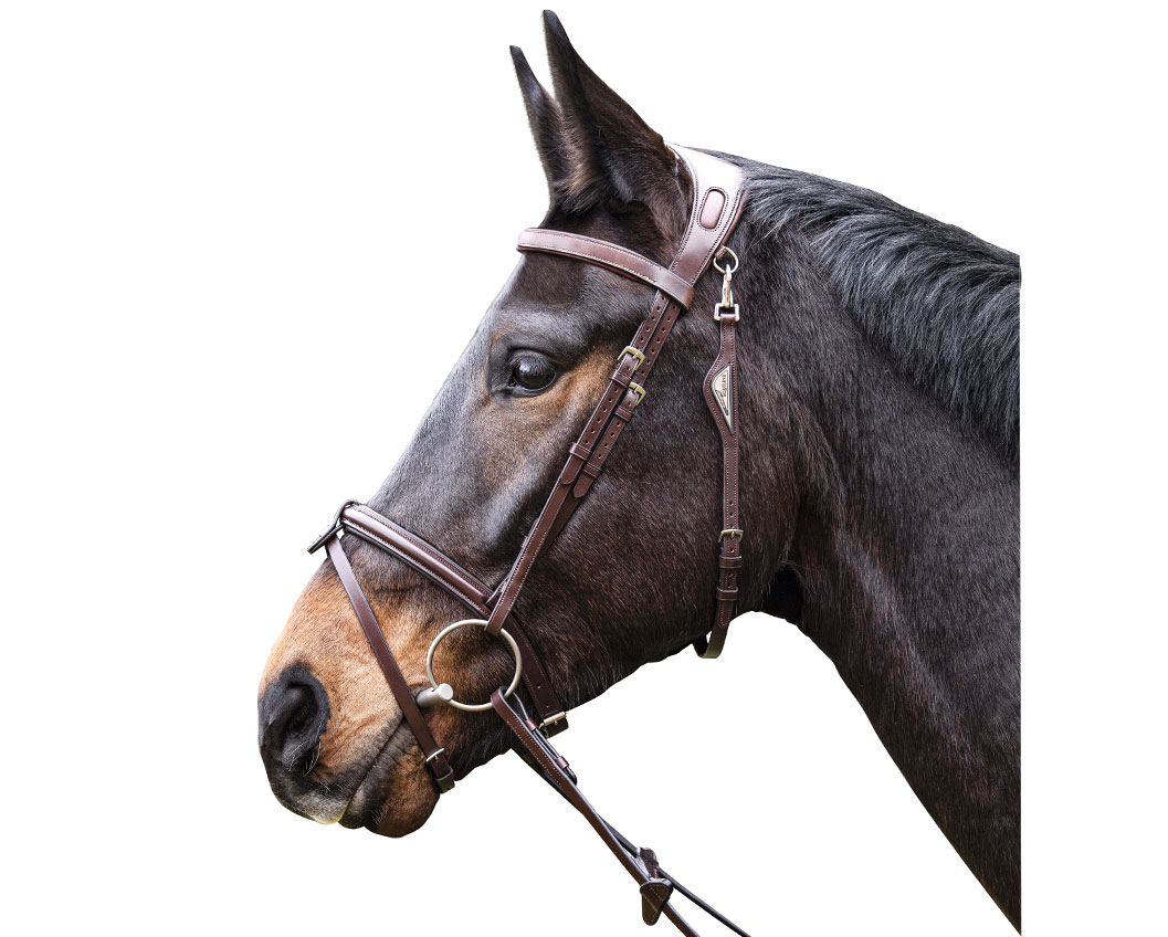 Träns Equiline BJ300 häst