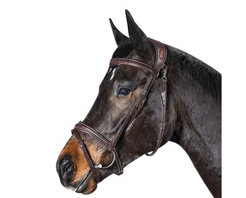 Träns Equiline Anatomiskt BJ301 häst