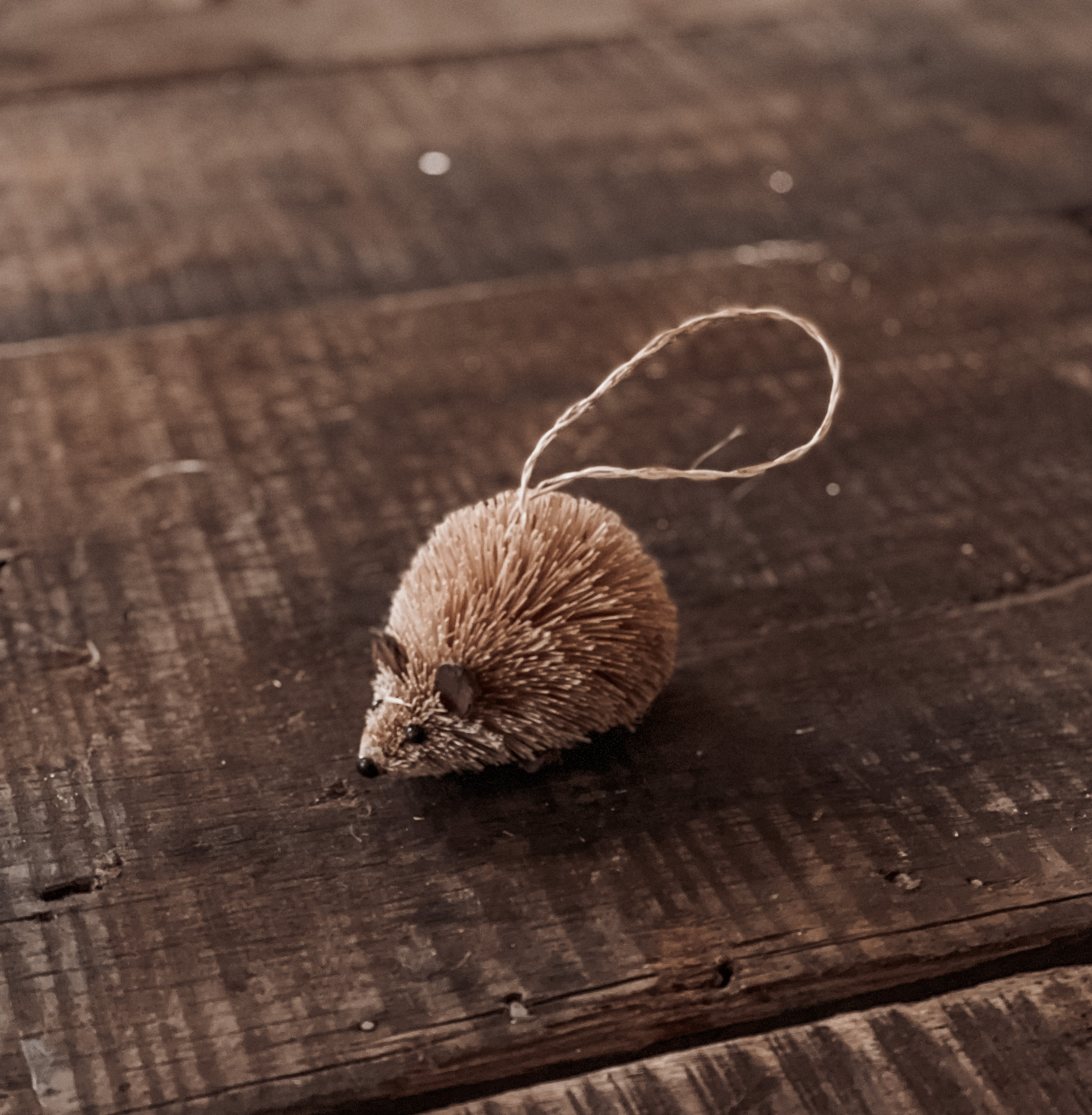 Afroart Brush Hedgehog