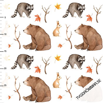 BEAR WOODLAND