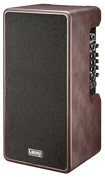 Laney A-Duo