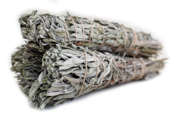 Turkey  sage (Salvia officinalis) Smudge - 35gram