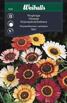 6234, Ringkrage mix   Chrysanthemum carinatum