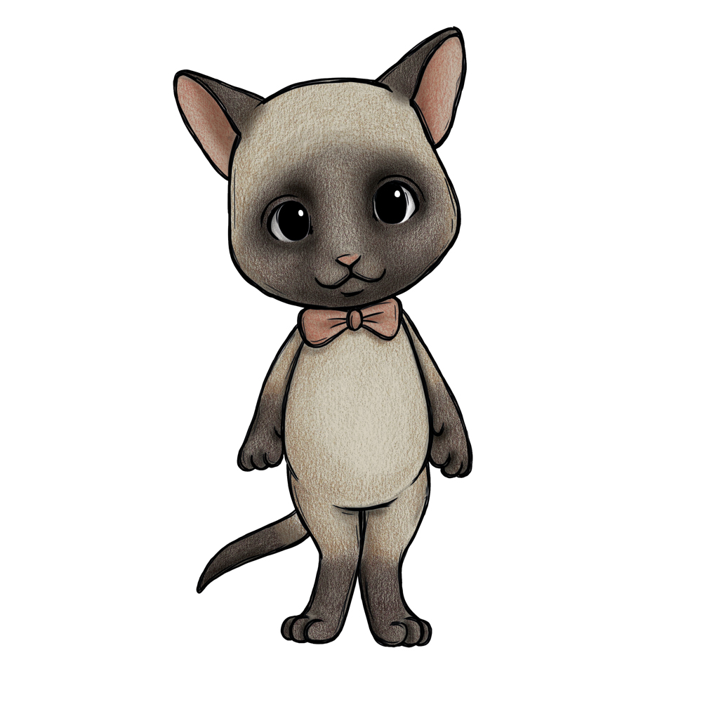 Katten Cinnamon
