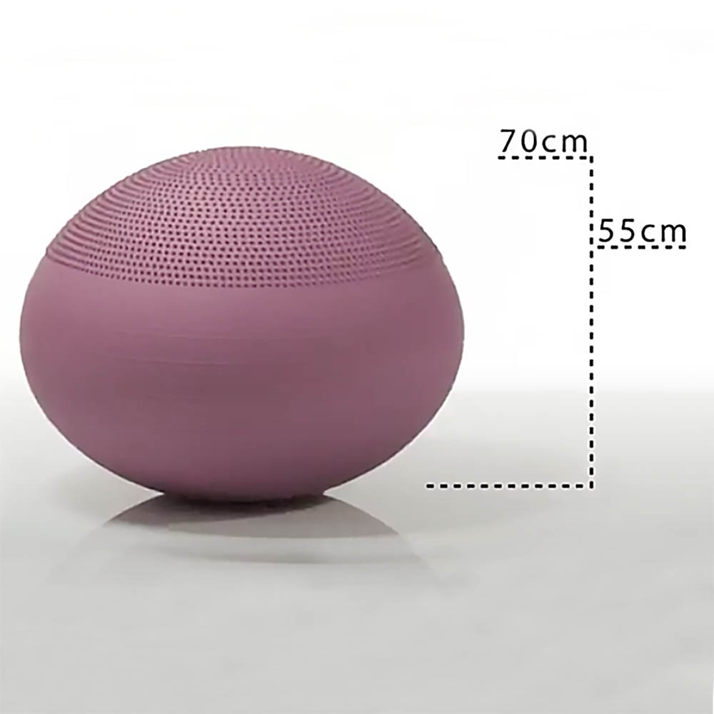 Pendelboll stor stabil balansboll till hund och människa