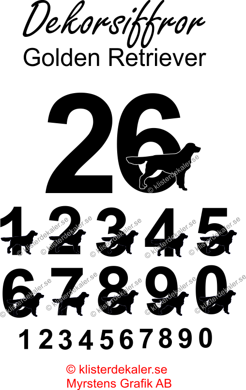 Number Golden Retriever
