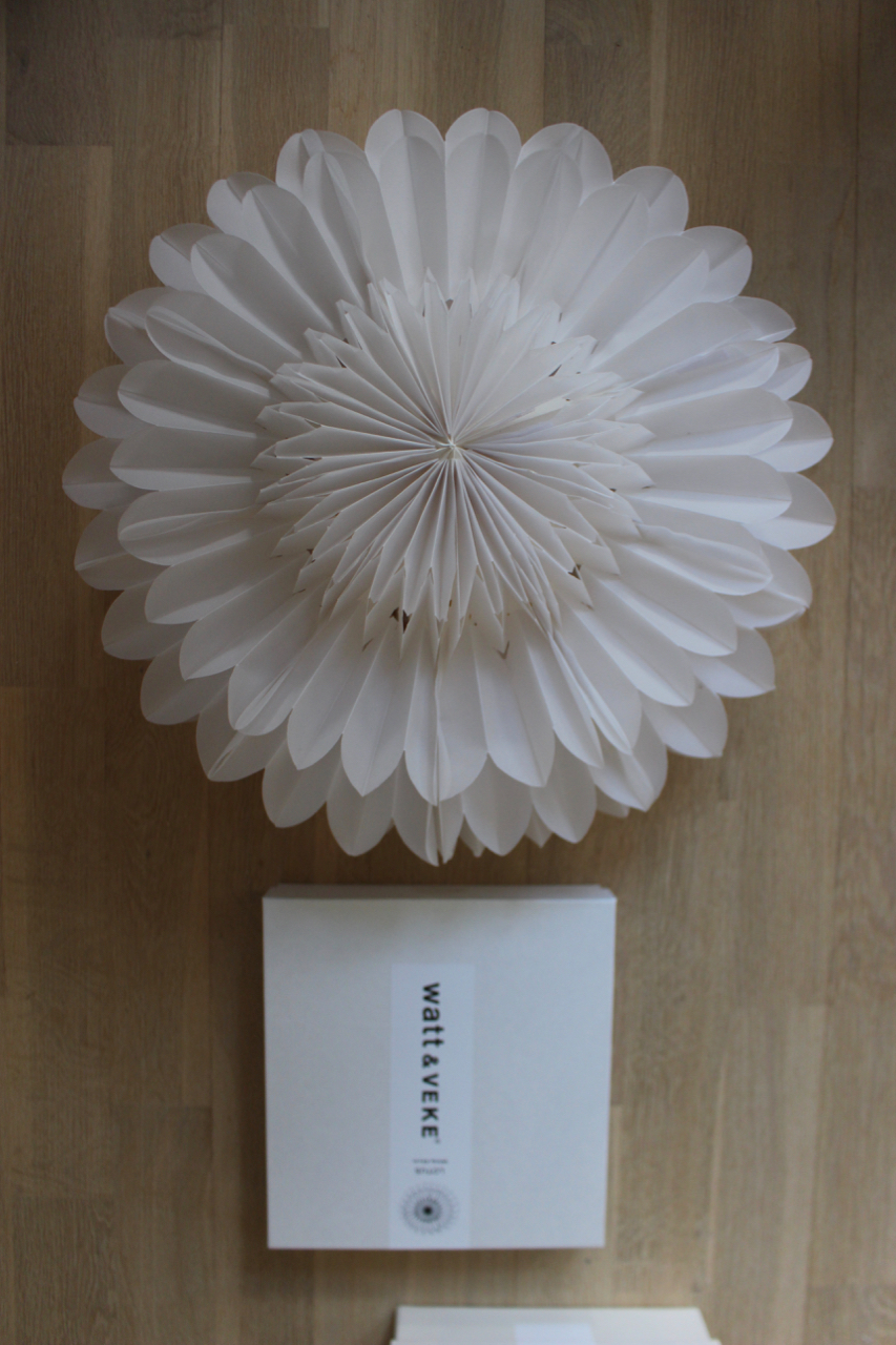 Julstjärna Lotus