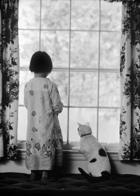 Girl & cat at the window, Greeting Card
