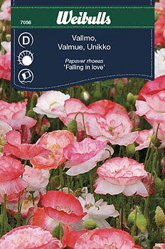 7056, Vallmo, Falling in love    Papaver rhoeas