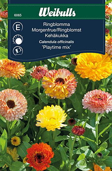 6065, Ringblomma Playtime mix    Calendula officinalis