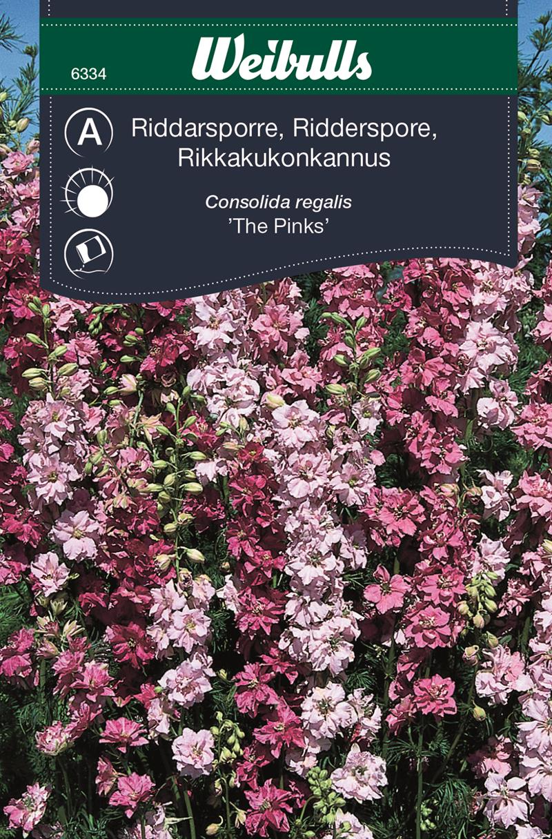 6334, Riddarsporre the pinks    Consolida regalis