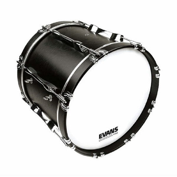 Evans BD22MX2W