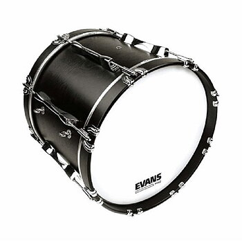 Evans BD22MX2W