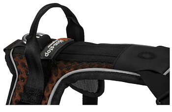 Rock harness