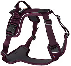 Ramble harness