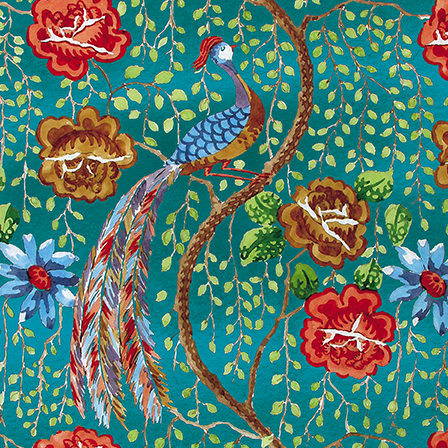 Peacock, Greeting Card